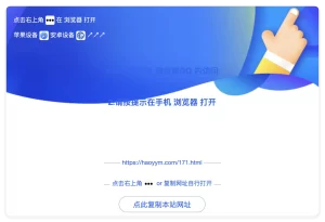 QQ微信防红插件 Wordpress插件-好运源码